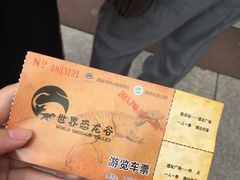 -世界恐龙谷景区