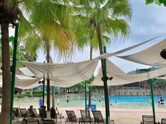 -重庆海昌加勒比海水世界