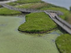 -春花秋色城市公园