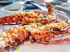 澳洲龙虾-上宴精品海鲜姿造(晶融汇旗舰店)