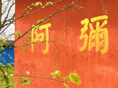 -飞天山旅游区