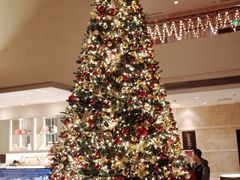 -马哥孛罗咖啡厅·Cafe Marco (厦门马哥孛罗东方大酒店)