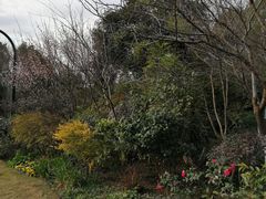 -杭州城北体育公园