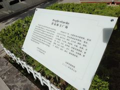 -罗布林卡