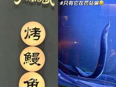 -大唐尚武烤活鳗鱼黑牛烤肉(大里路店)