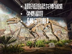 -辽宁古生物博物馆