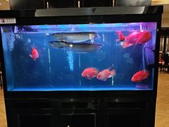 -海天楼中餐厅(吴宫泛太平洋酒店)