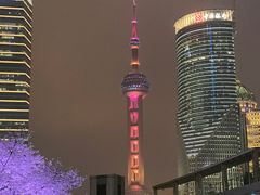 -东方明珠广播电视塔