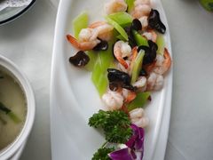 -云中小雅