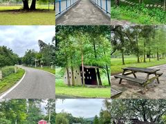 -南宁良凤江国家森林公园