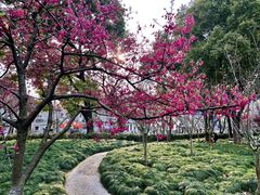 -四川北路(地铁站)