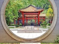 -顺峰山公园
