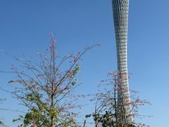 -二沙岛艺术公园