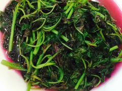 -岩泊渡桂鱼楼活鱼馆
