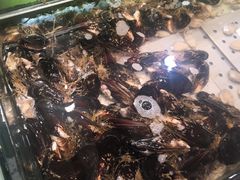 -永辉超市(嘉定宝龙广场店)