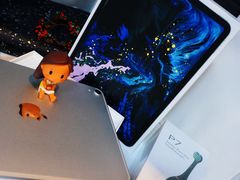 -Apple零售店(济南恒隆广场店)