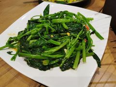泰式飞天通菜-摩登有记·新派泰国菜(银钻广场店)