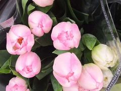 -秦美花卉(天朗·莱茵小城2期店)