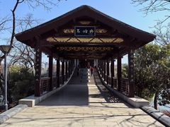 -长广溪湿地公园