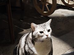 -咖法森林·咖啡  酒吧(天河店)