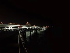 -演武大桥观景平台