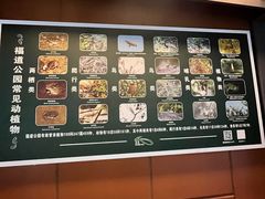 -福道