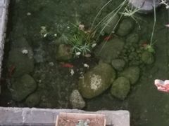 -浔岚云舍mist静谧观景美宿(丽江古城店)