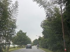-池州市平天湖风景区