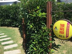 -崇明东平国家森林公园烧烤房车露营地