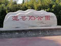-莲花池公园
