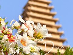 -北京石刻艺术博物馆