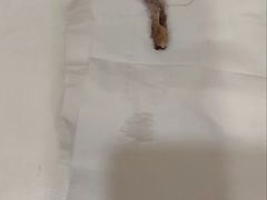 -立德动物医院·24小时中心(番禺区院区)