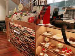 -猫的天空之城概念书店(杭州南宋御街店)