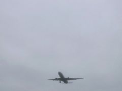 -空港花田景区