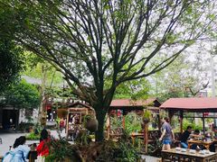 -青城甲(青城山店)