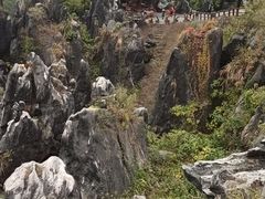 -玉石林风景区