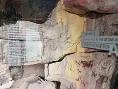 -上海动漫博物馆