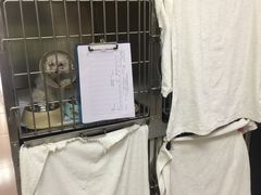 -惠康宠物医院(华能路店)