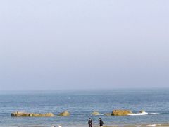 -日照海滨国家森林公园