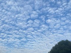 -浙江自然博物院(杭州馆)