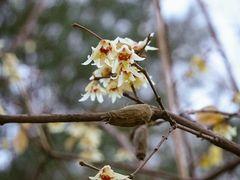 景点-北极寺公园