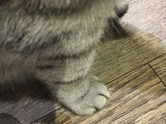 -小时光咖啡馆(开森度假森林店)