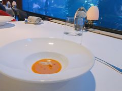 -迪拜帆船酒店海底餐厅