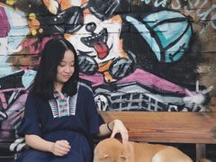 -柴犬高等学院·狗咖·柴犬售卖·宠物训练