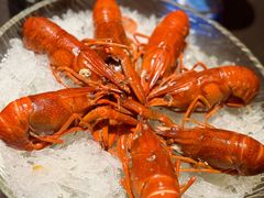 精品冰镇蓝龙虾-红盔甲·小龙虾(人民广场店)