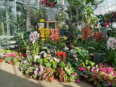 -国家植物园南园