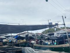 -蓝湾碧波·老字号·疍家非遗海上餐厅