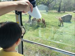 -西安秦岭野生动物园