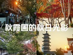 -秋霞圃