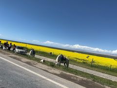 -青海湖国家重点风景名胜区